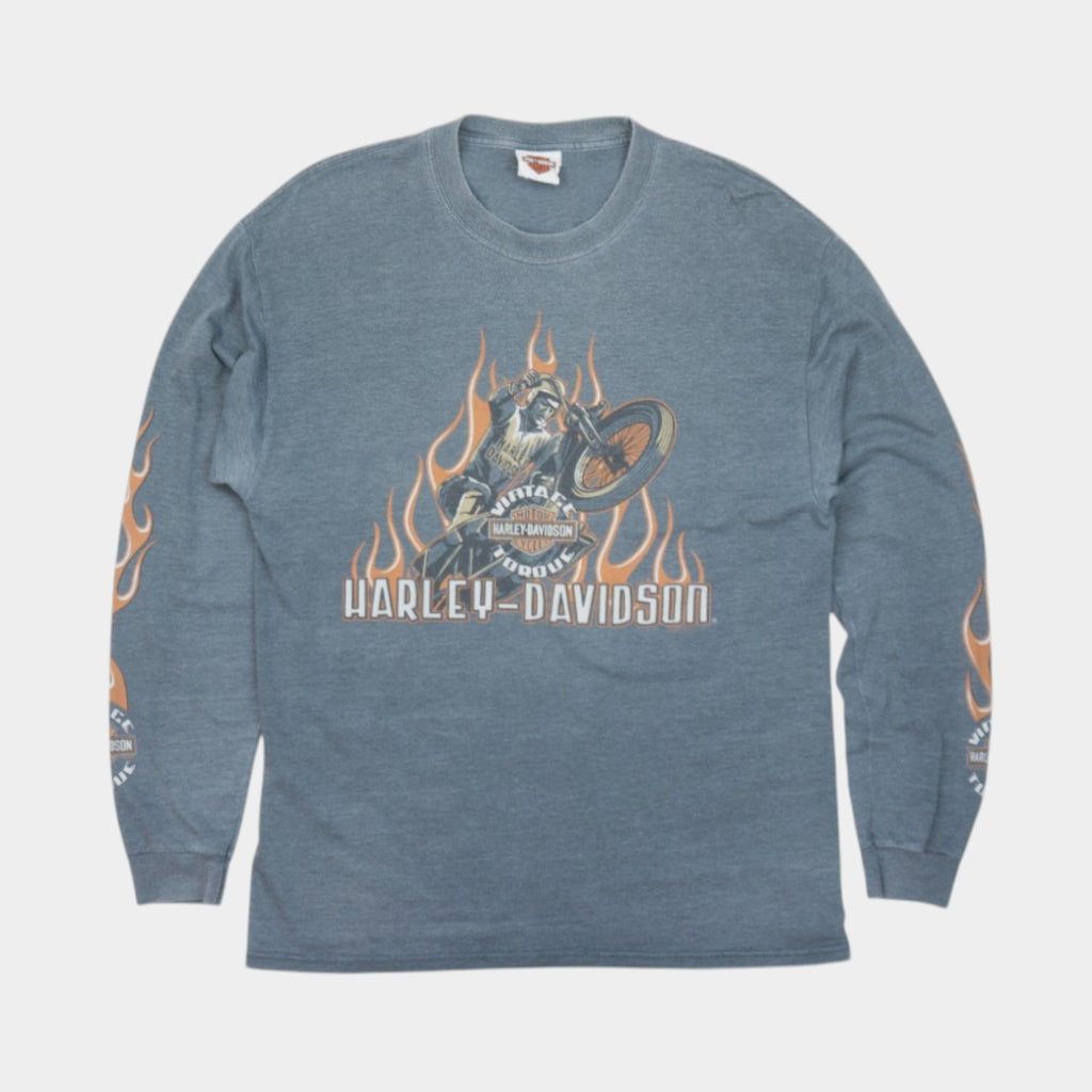 Harley-Davidson X Hanes Vintage Блуза с Графика