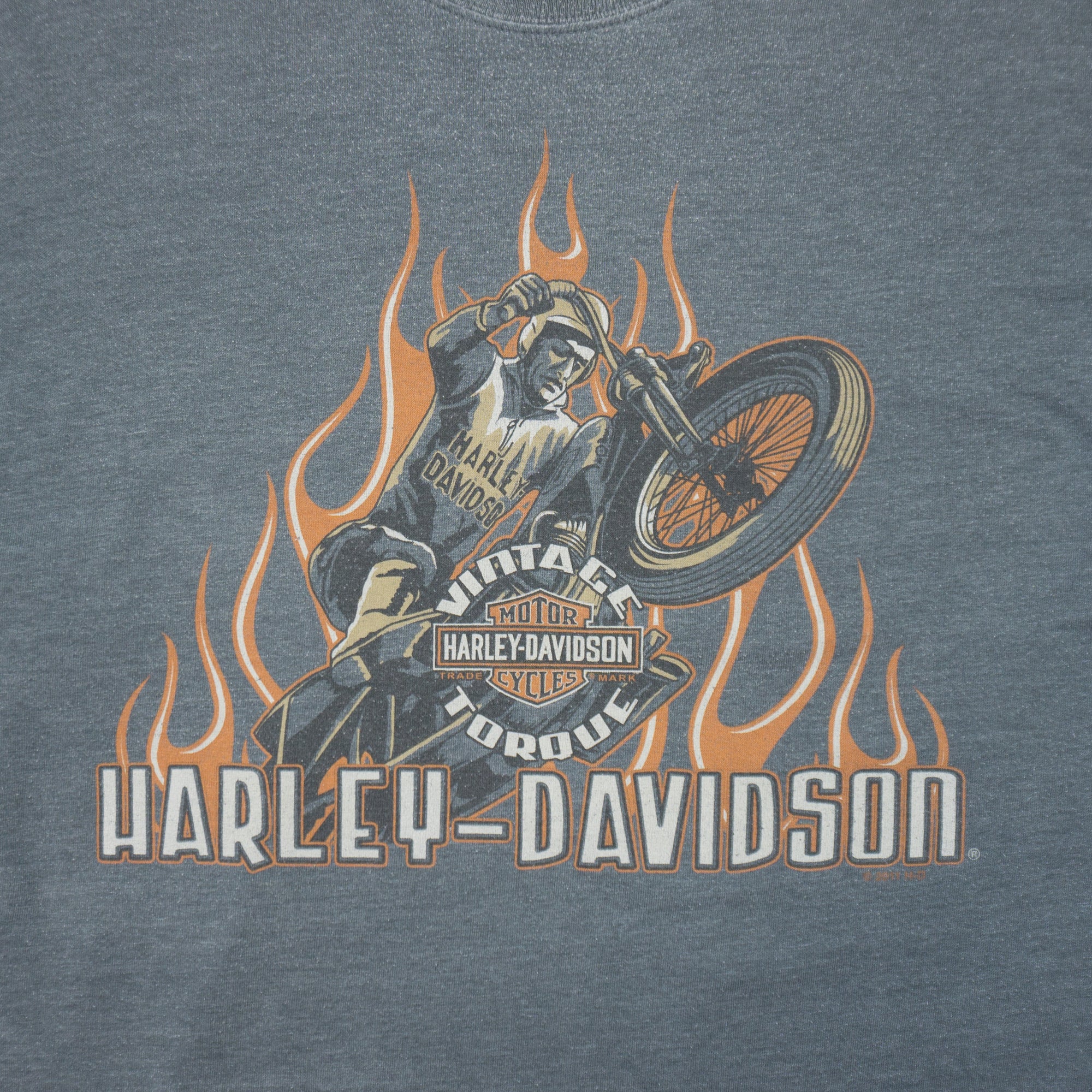 Harley-Davidson X Hanes Vintage Блуза с Графика