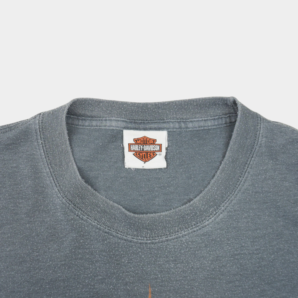 Harley-Davidson X Hanes Vintage Блуза с Графика
