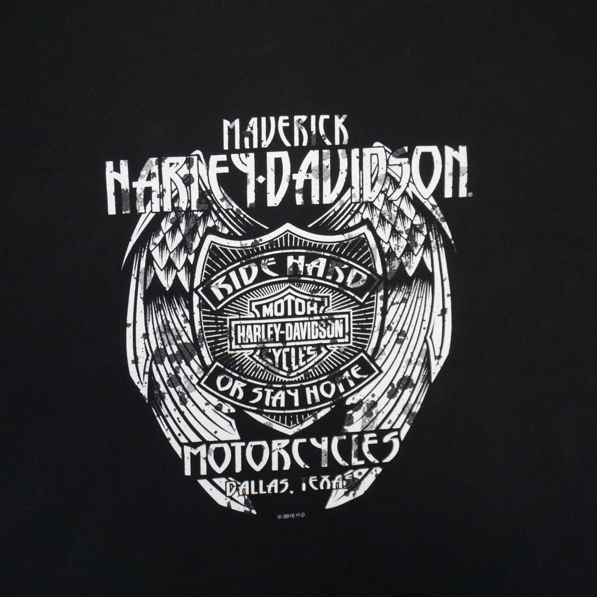 Harley-Davidson Тениска с Графика
