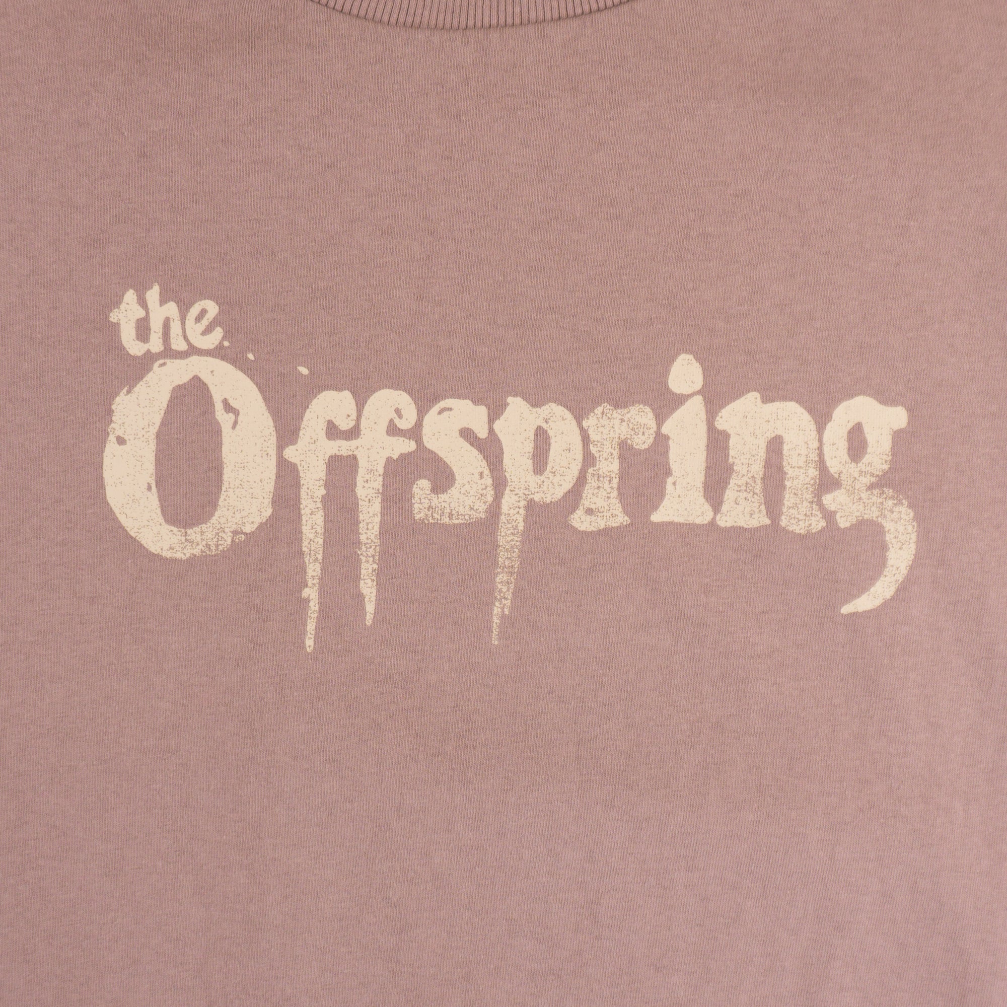 H&M X The Offspring Бежова Тениска с Графика