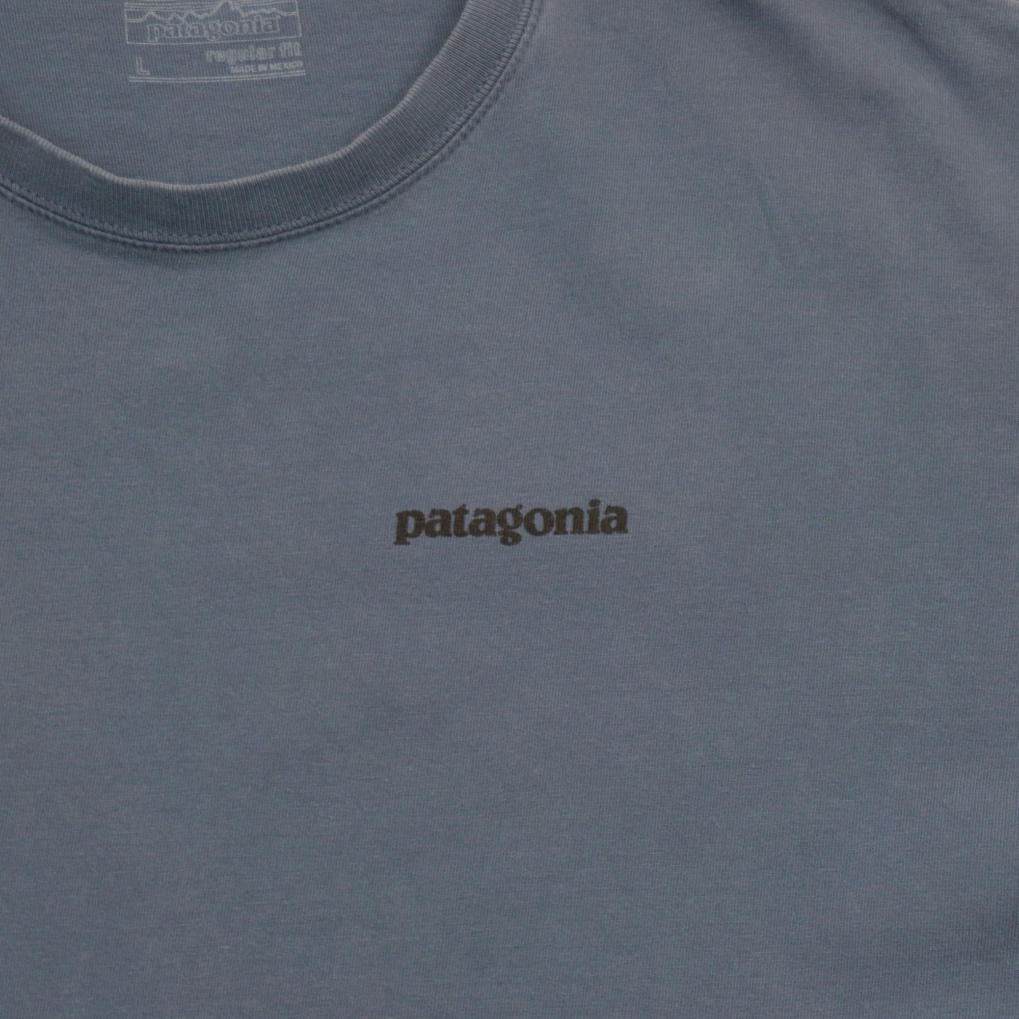 Patagonia Тениска