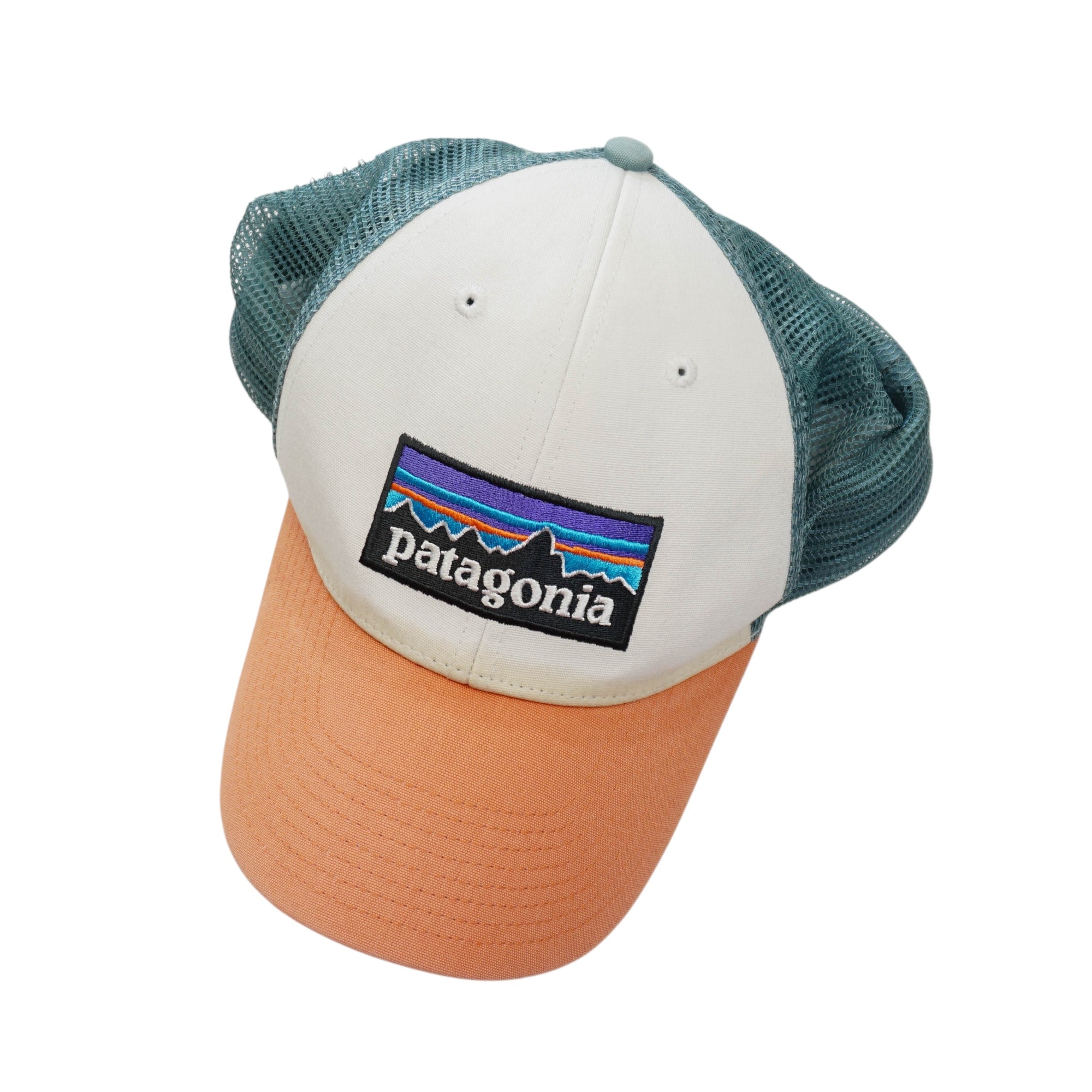 Patagonia Cap