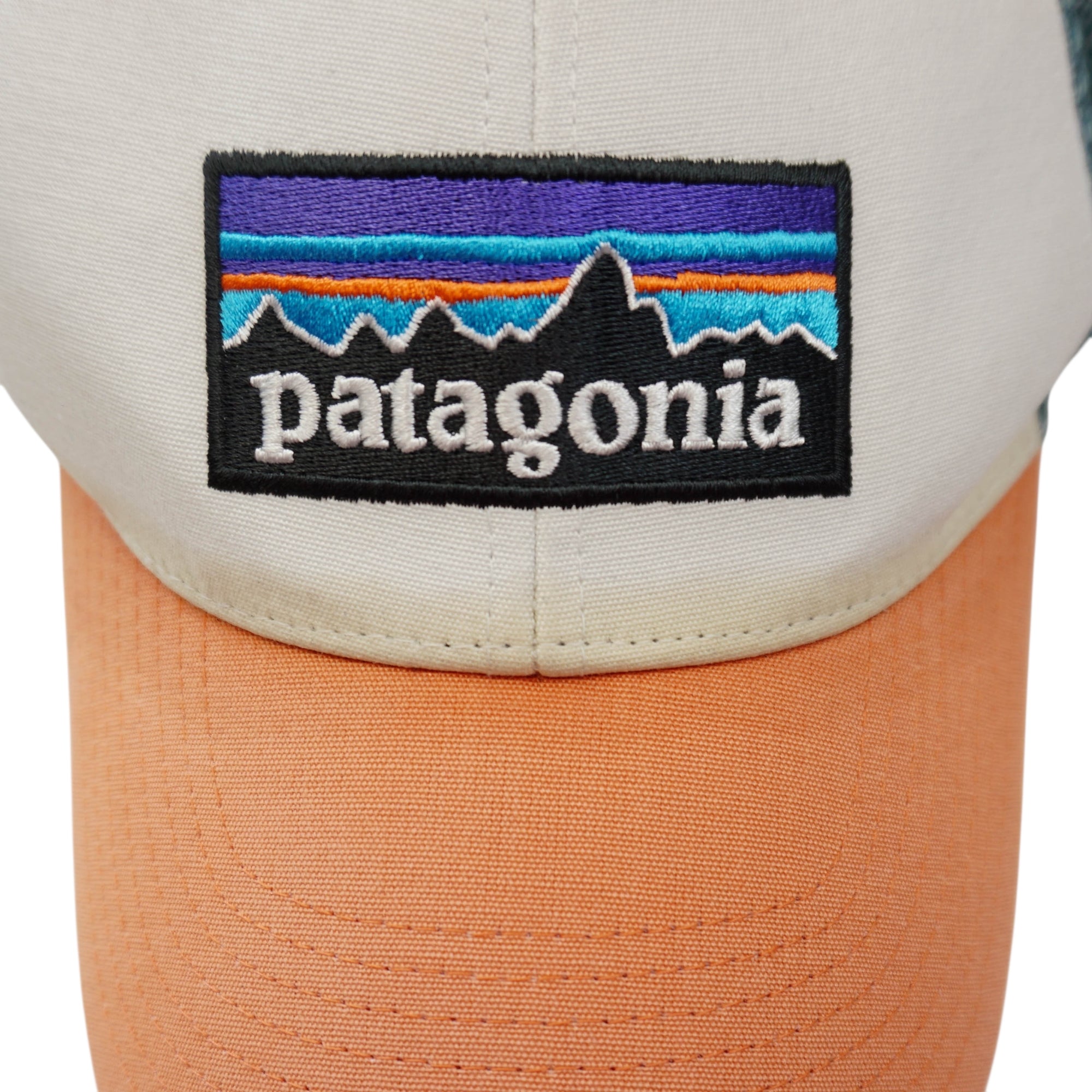 Patagonia Cap
