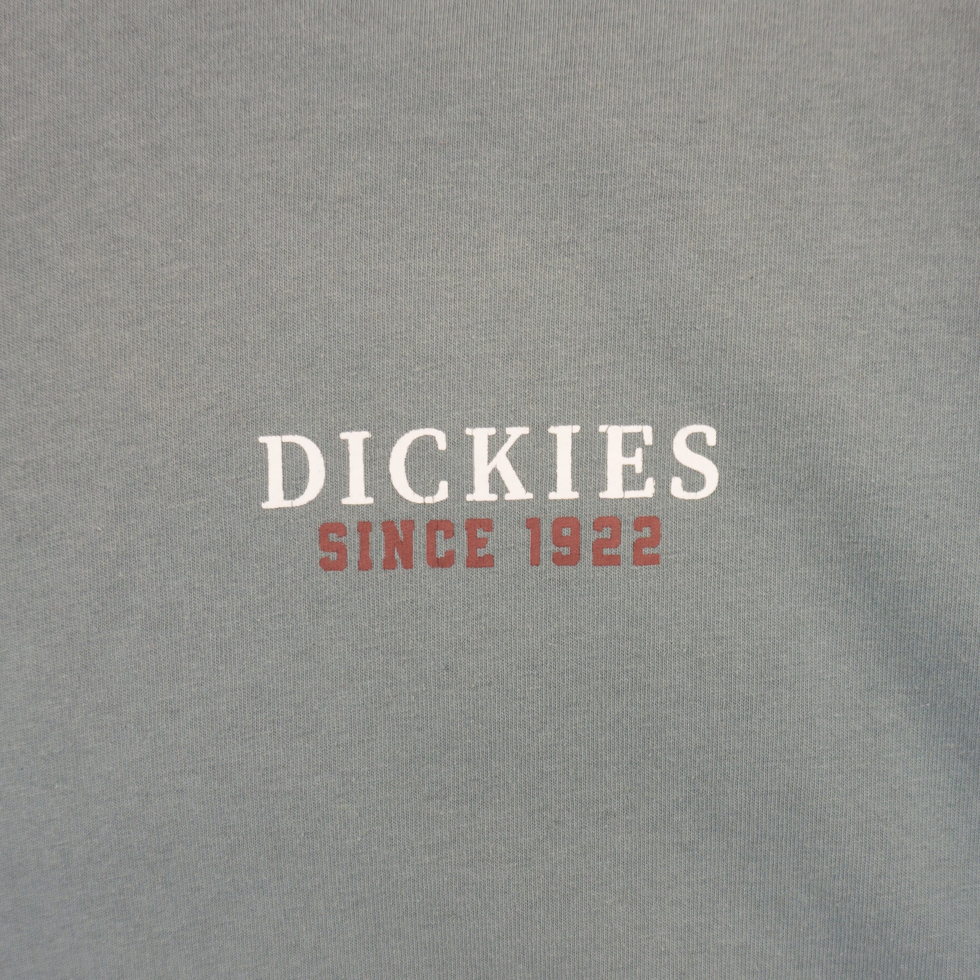 Dickies Зелена Тениска с Графика