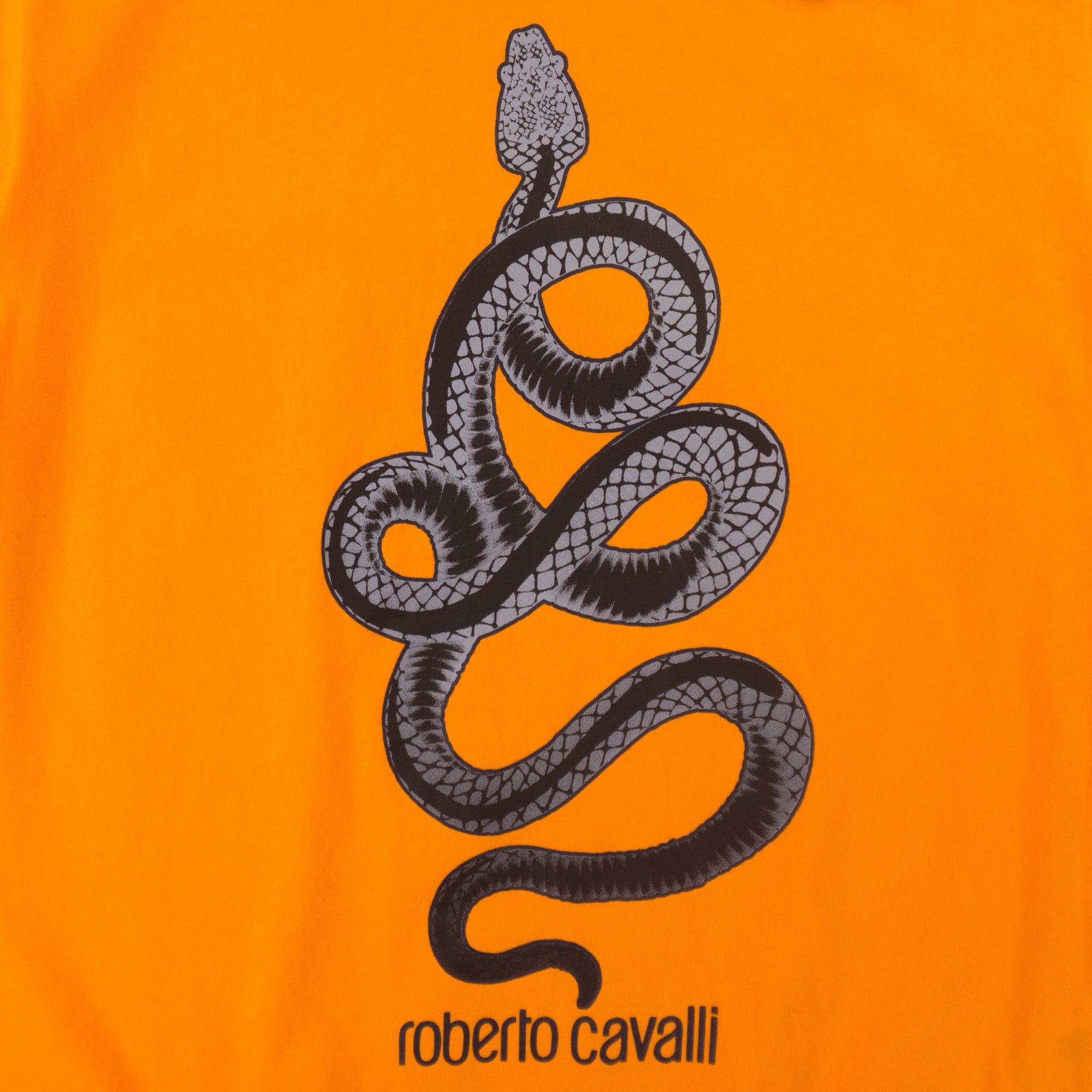 Roberto Cavalli Оранжева Тениска с Графика