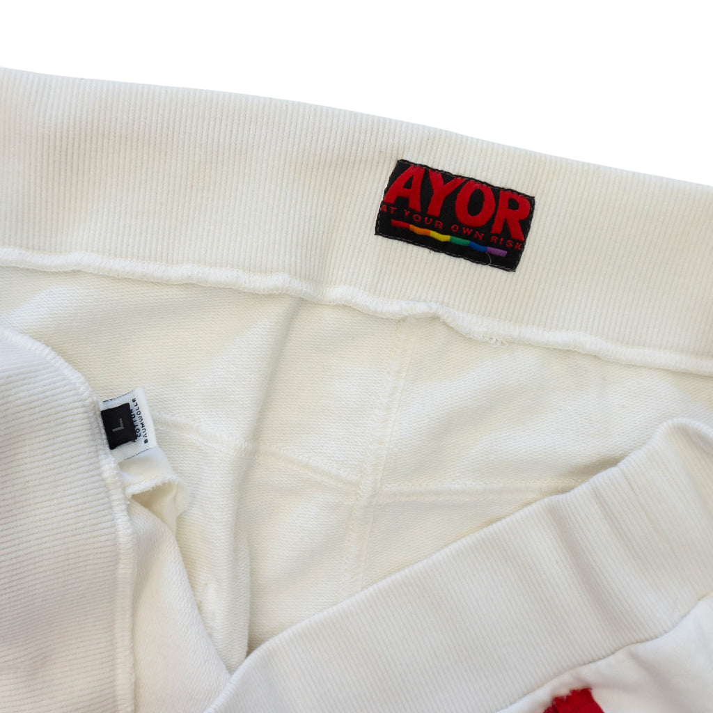 AYOR Racing Pants