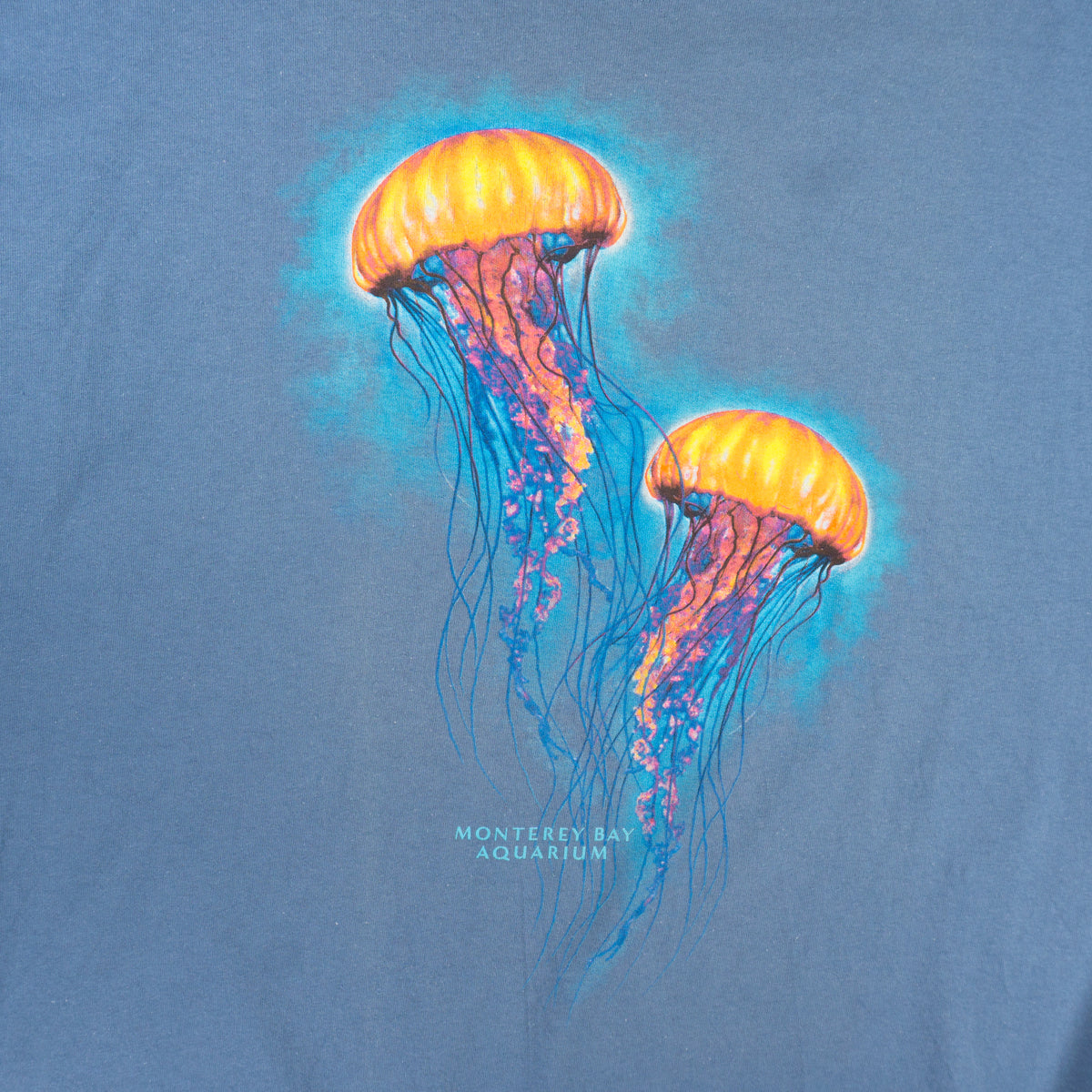 Monterey Bay Aquarium Синя Тениска с Графика