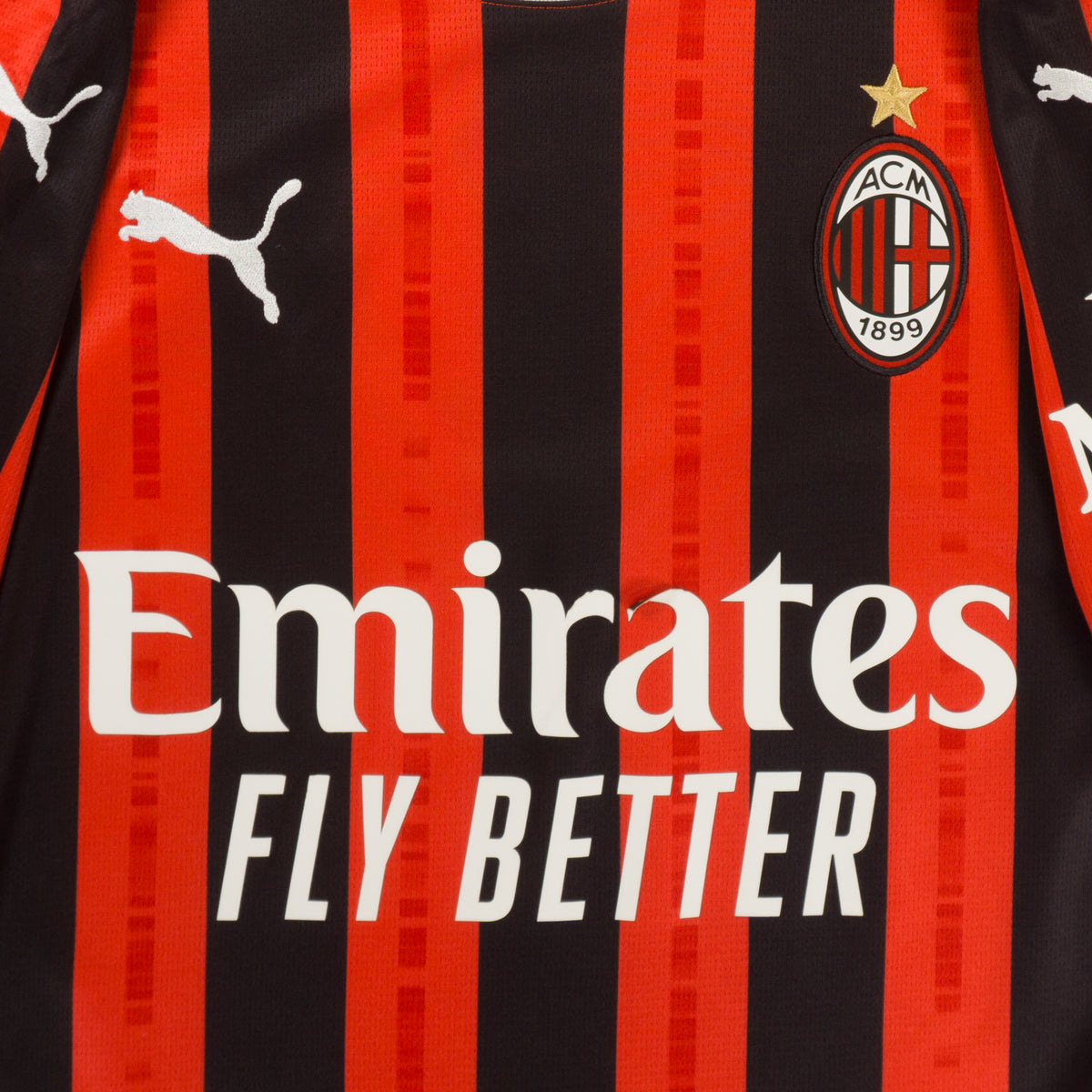 Puma AC Milan 2024/25 Червено Джърси