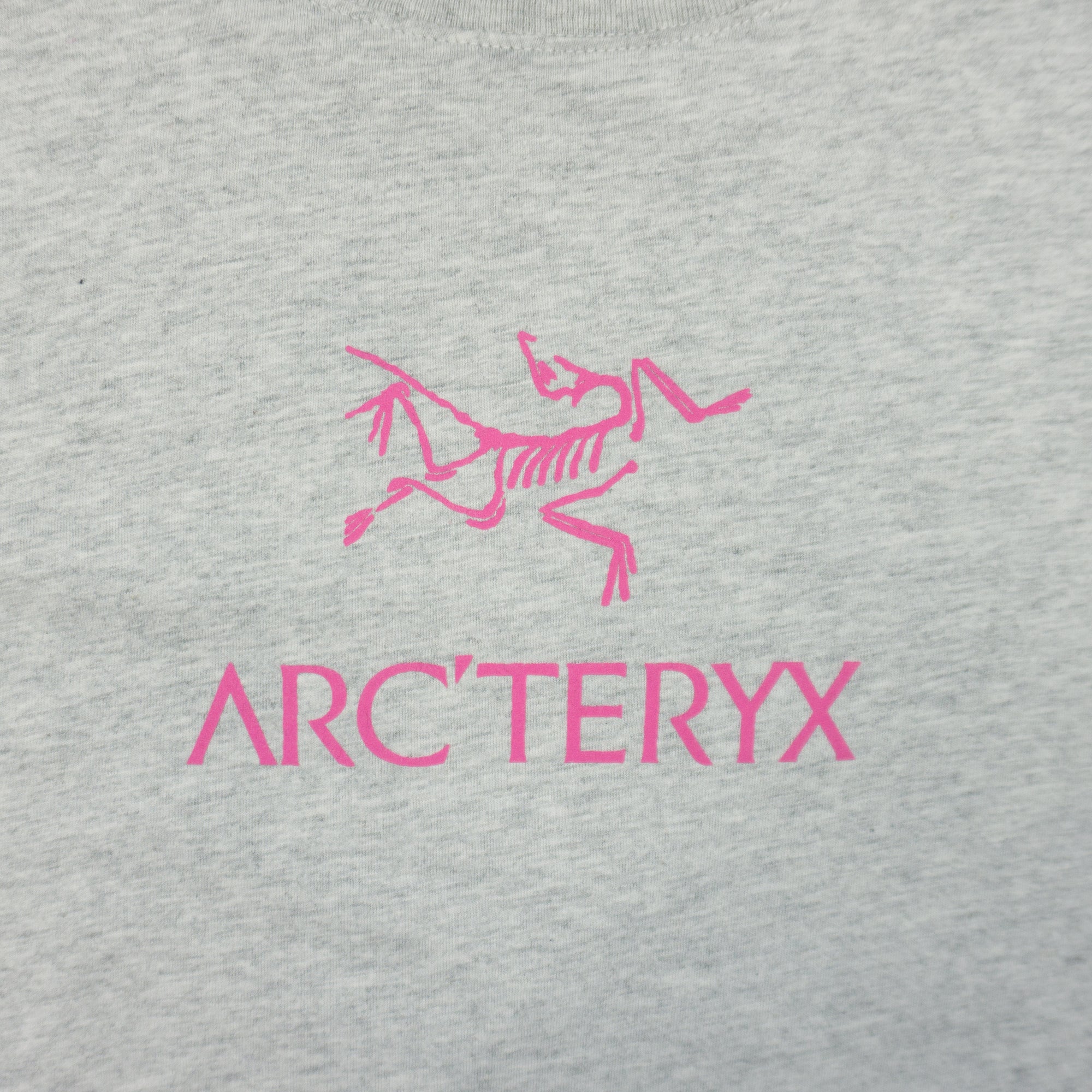 Arc'teryx Тениска
